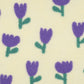 Sherpa tulipes violettes