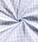 Sky blue gingham with small checks