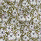 Coupon 55x35cm Liberty of London